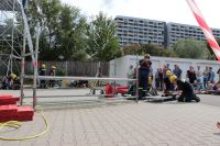 IMG_9854 (Large)